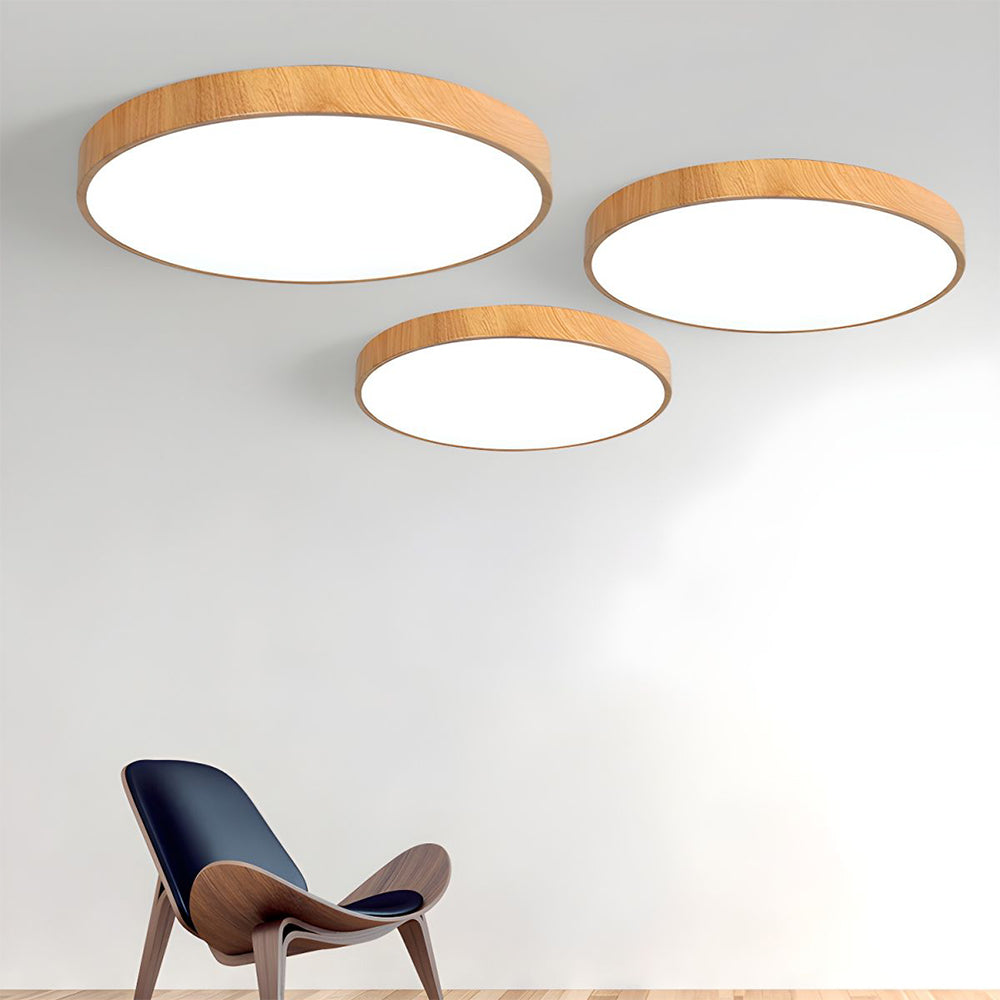 Plafondlamp met ijzeren frame