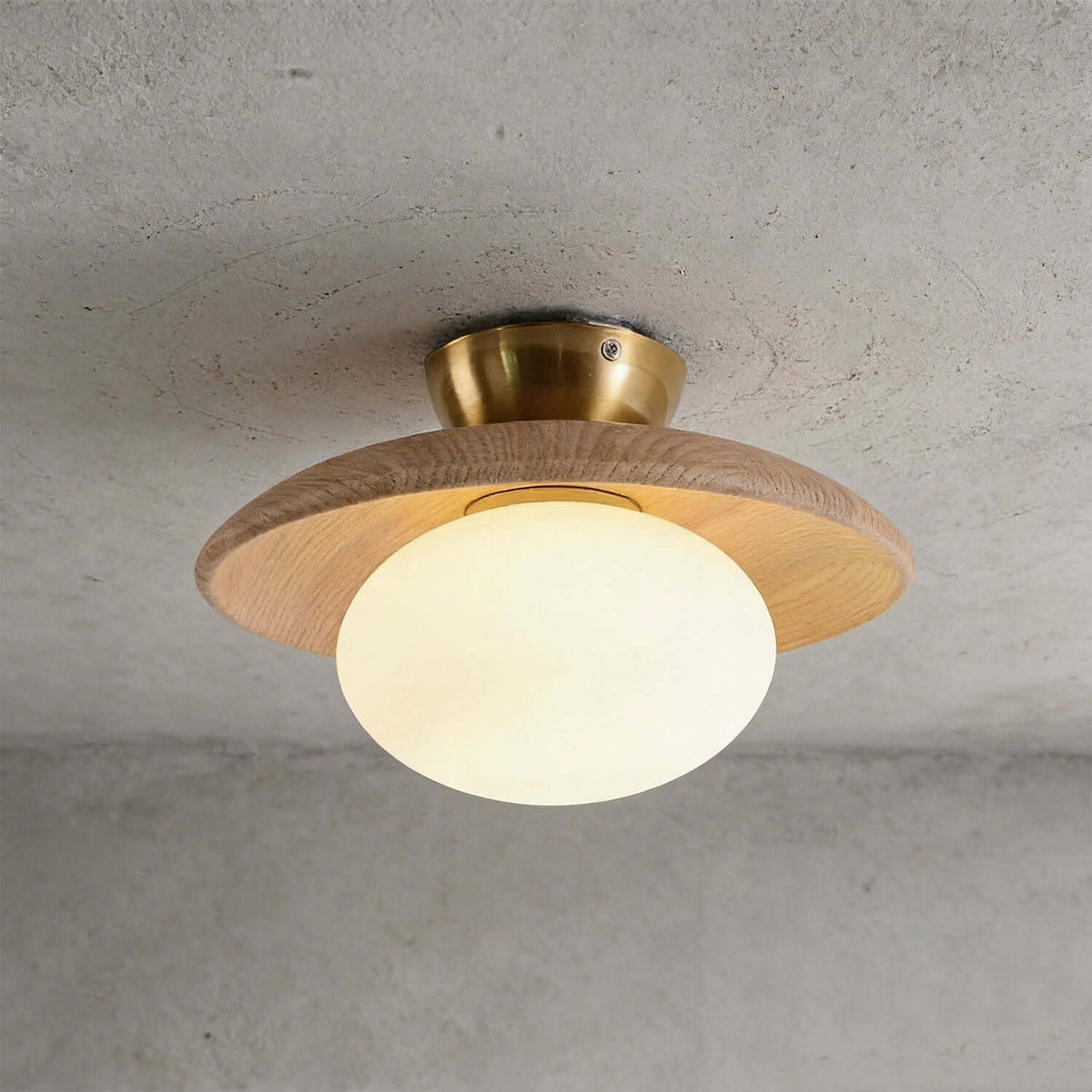 Houten schijfvormige opalen plafondlamp