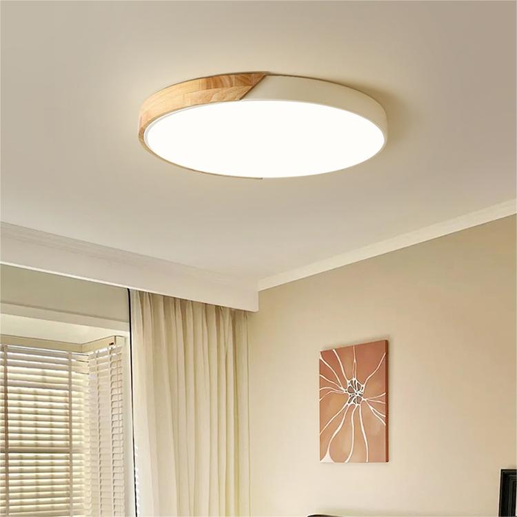 Kleurrijke Ronde LED Plafondlamp
