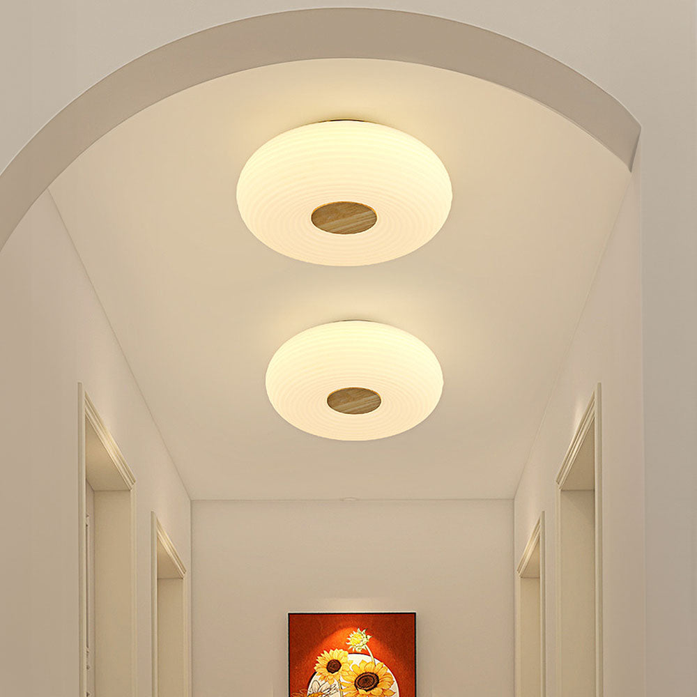 Organische Vorm LED Plafondlamp