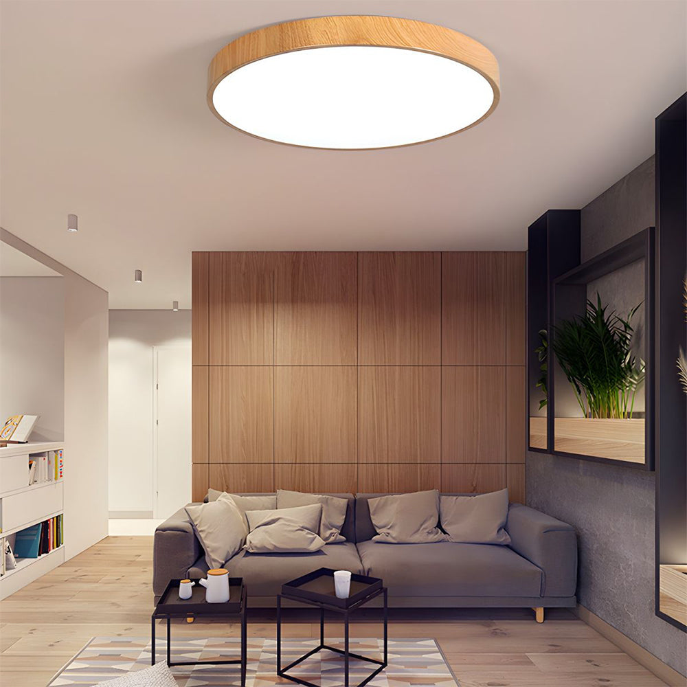 Plafondlamp met ijzeren frame