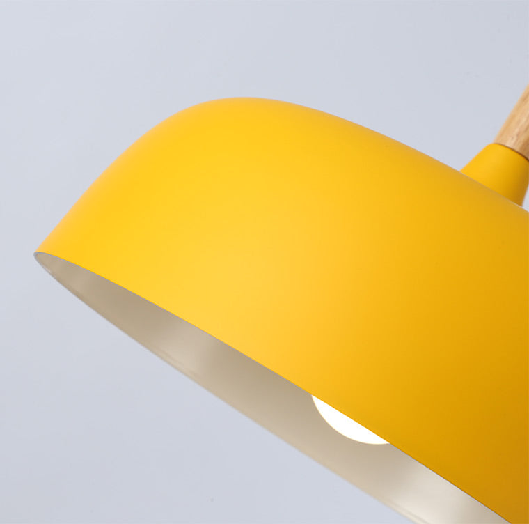 Levendige Koepellamp Hanger