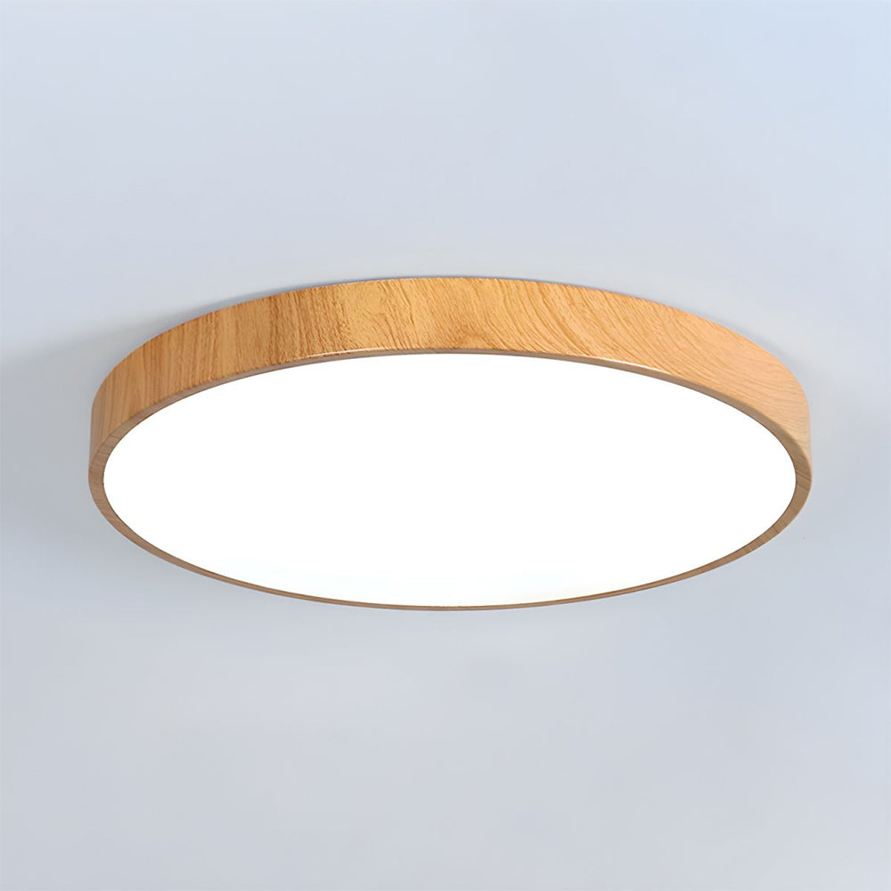 Plafondlamp met ijzeren frame