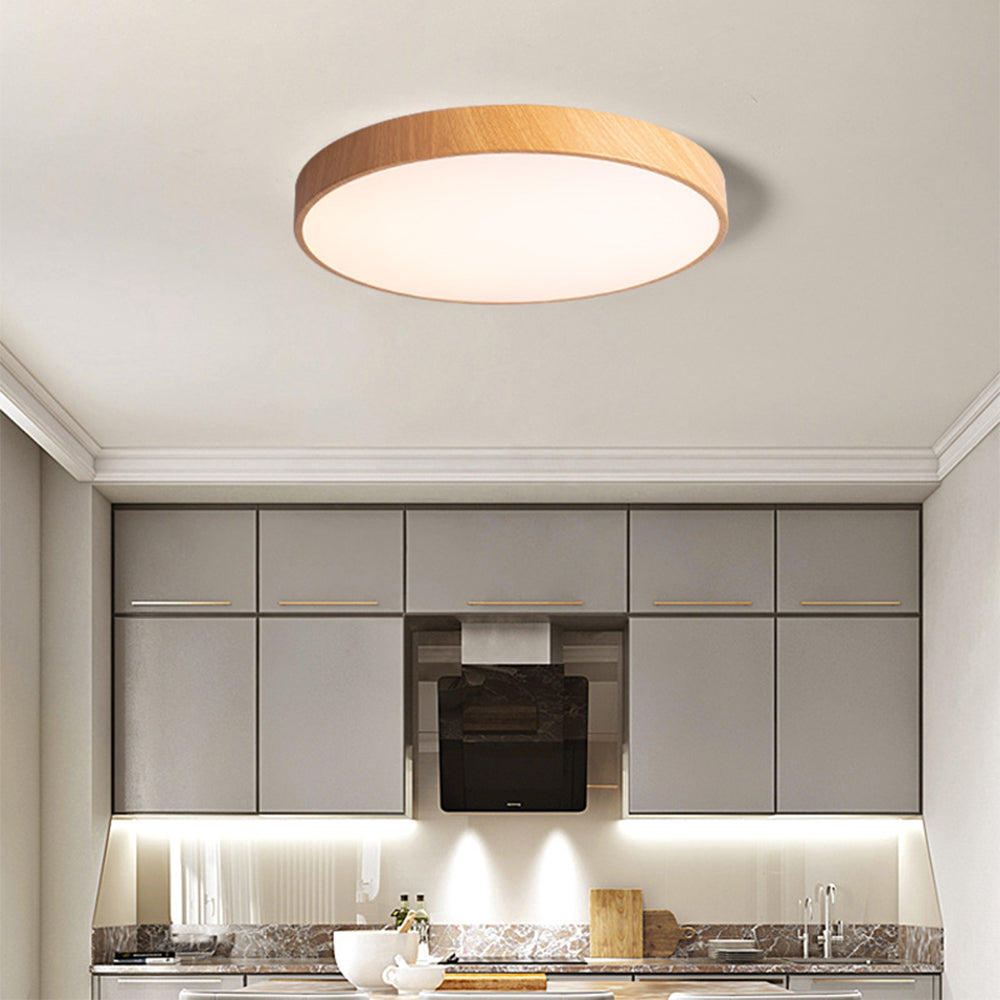 Plafondlamp met ijzeren frame