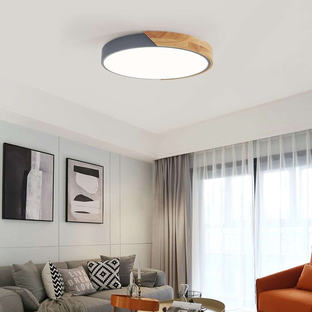 Kleurrijke Ronde LED Plafondlamp