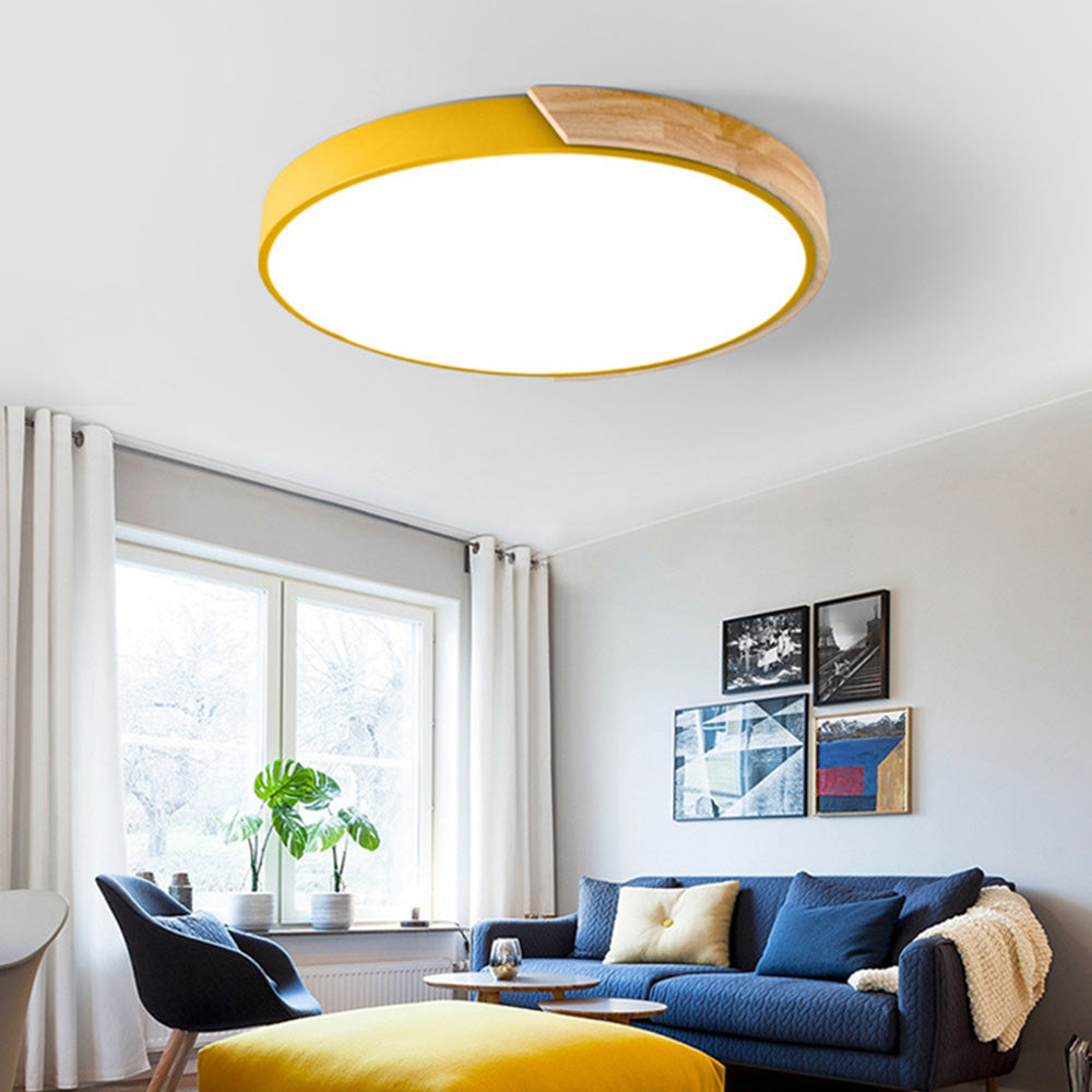 Kleurrijke Ronde LED Plafondlamp