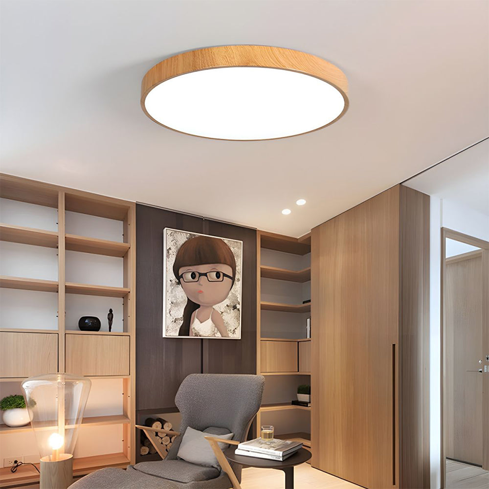 Plafondlamp met ijzeren frame