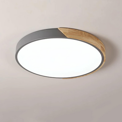 Kleurrijke Ronde LED Plafondlamp