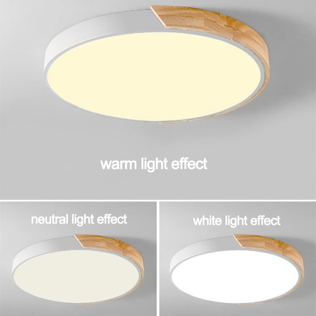 Kleurrijke Ronde LED Plafondlamp