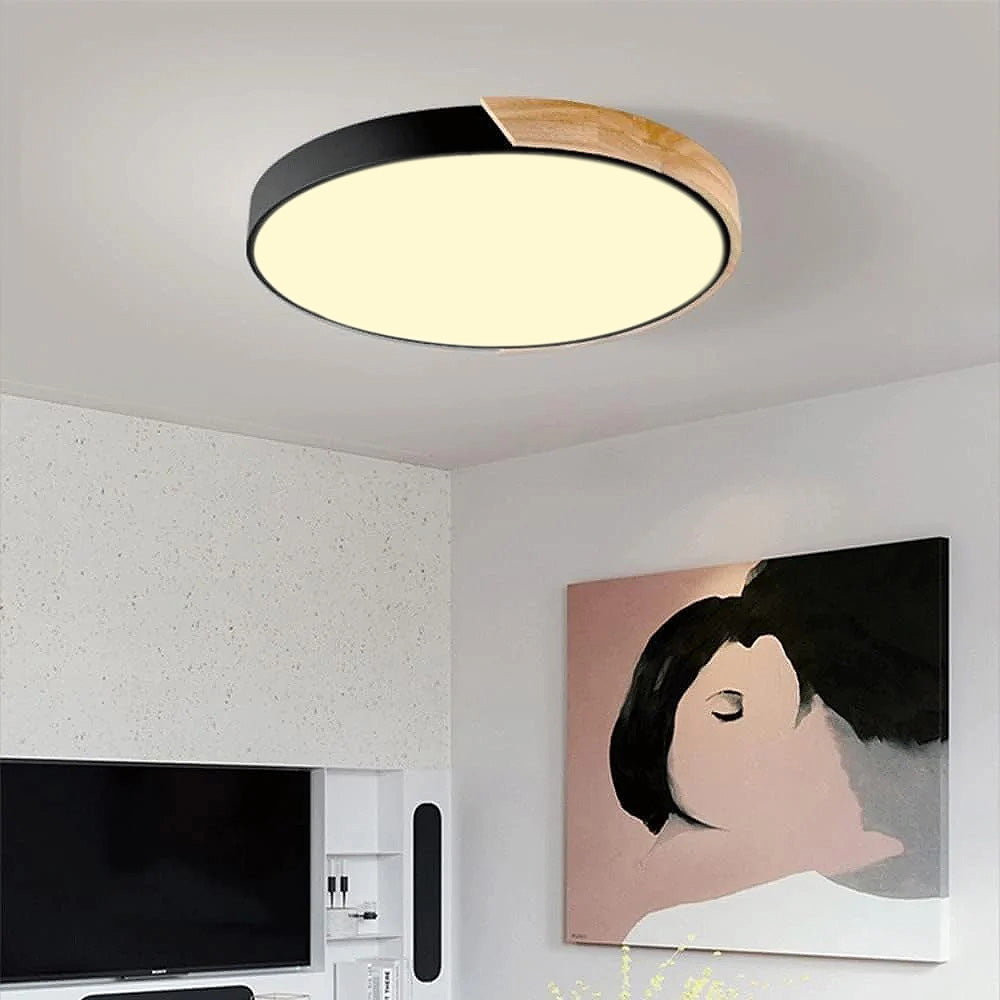 Kleurrijke Ronde LED Plafondlamp