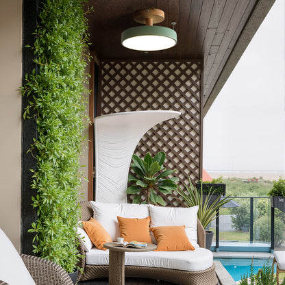 Ronde ijzeren LED-plafondlamp