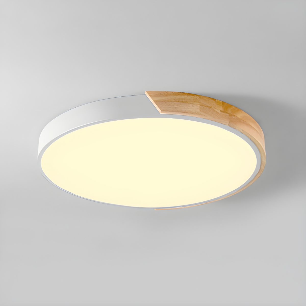 Kleurrijke Ronde LED Plafondlamp