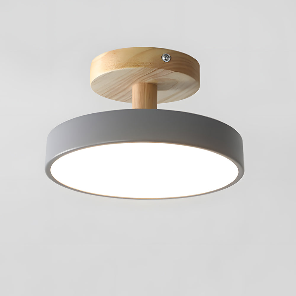 Ronde ijzeren LED-plafondlamp