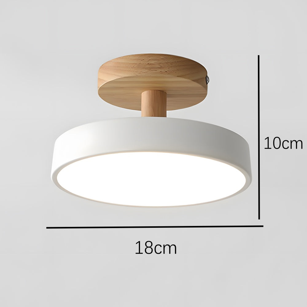 Ronde ijzeren LED-plafondlamp