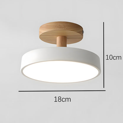 Ronde ijzeren LED-plafondlamp
