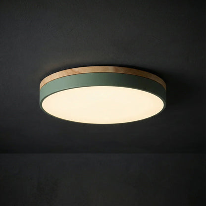 Dimbare plafondlamp met houten paneel