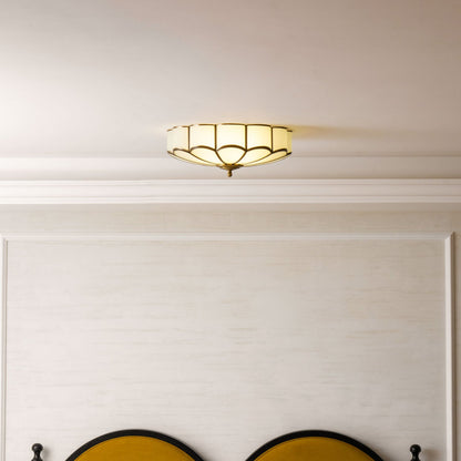 Plafondlamp van bloembladglas