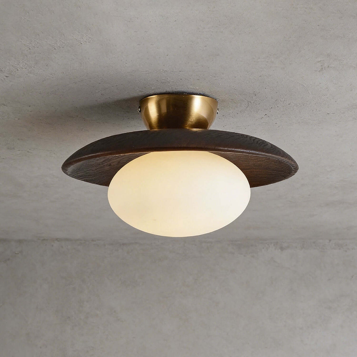 Houten schijfvormige opalen plafondlamp
