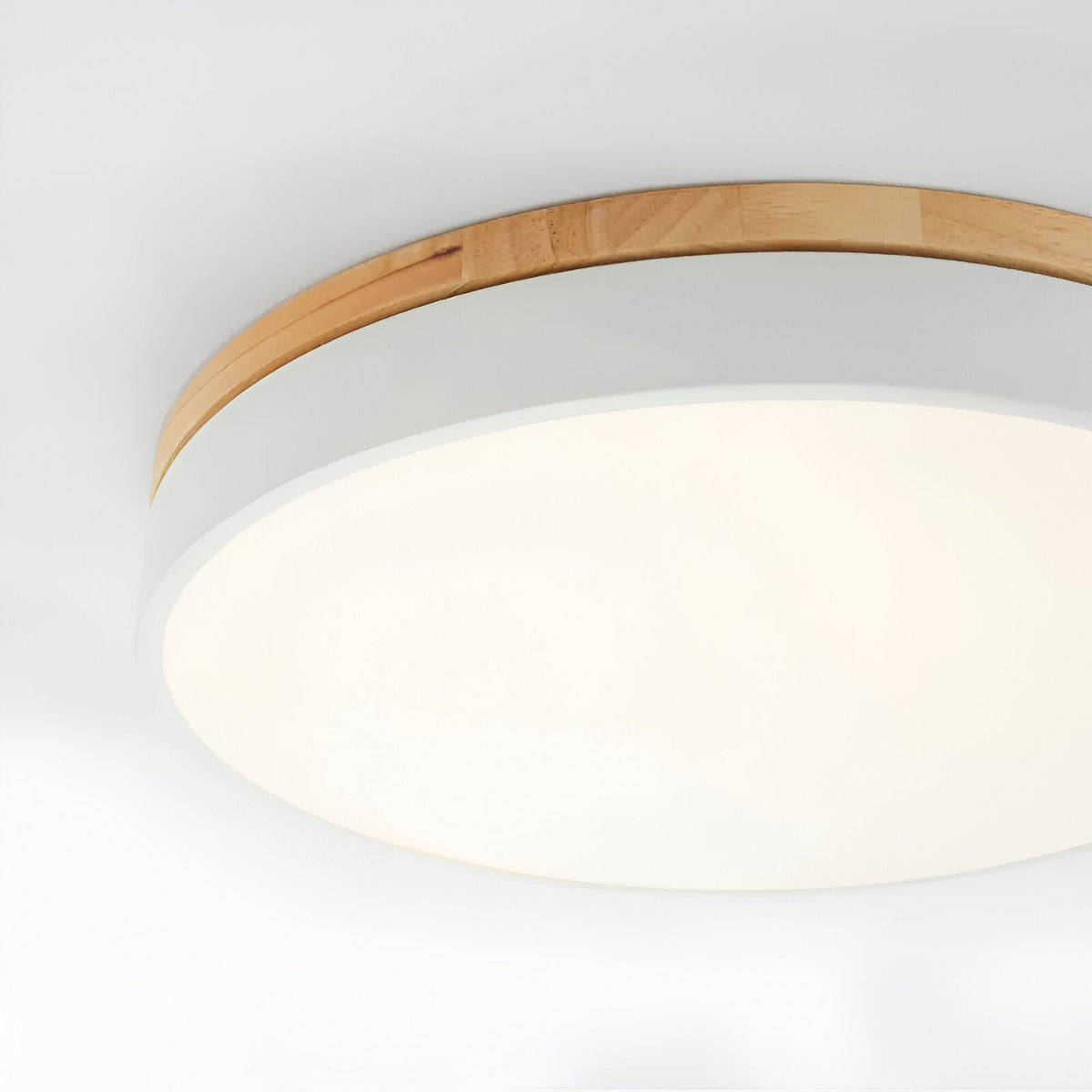 Calluvia Nordic acryl plafondlamp