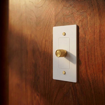 Norvessa vintage-draaiknopdimmer van messing